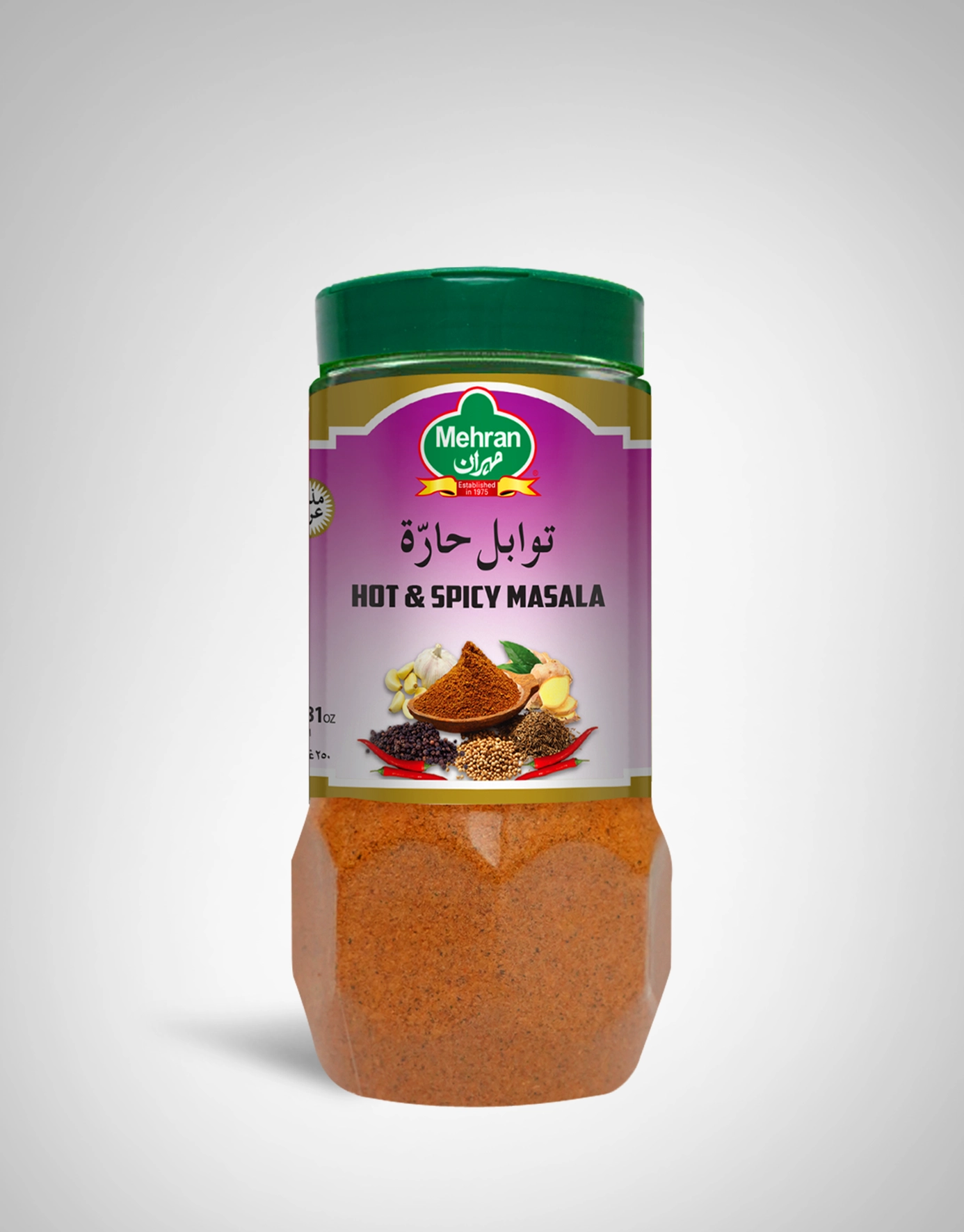 Mehran Hot & Spicy Masala
